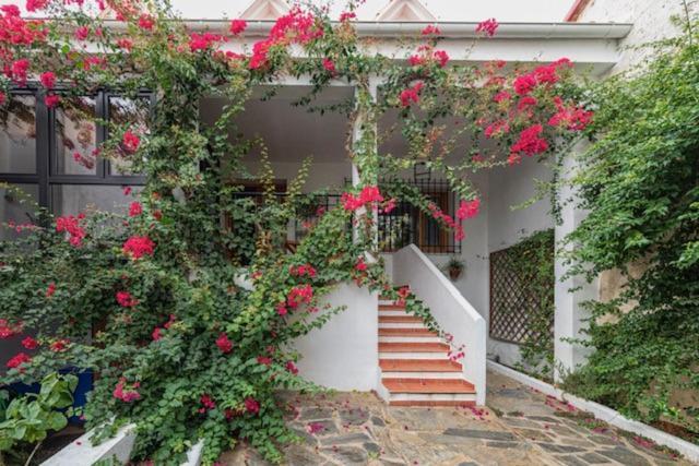 Casa Rural Collao De Lobo Serradilla ภายนอก รูปภาพ